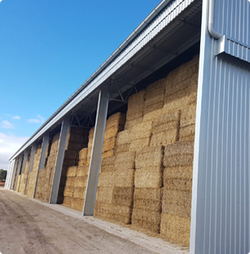 Shed Builders Qld